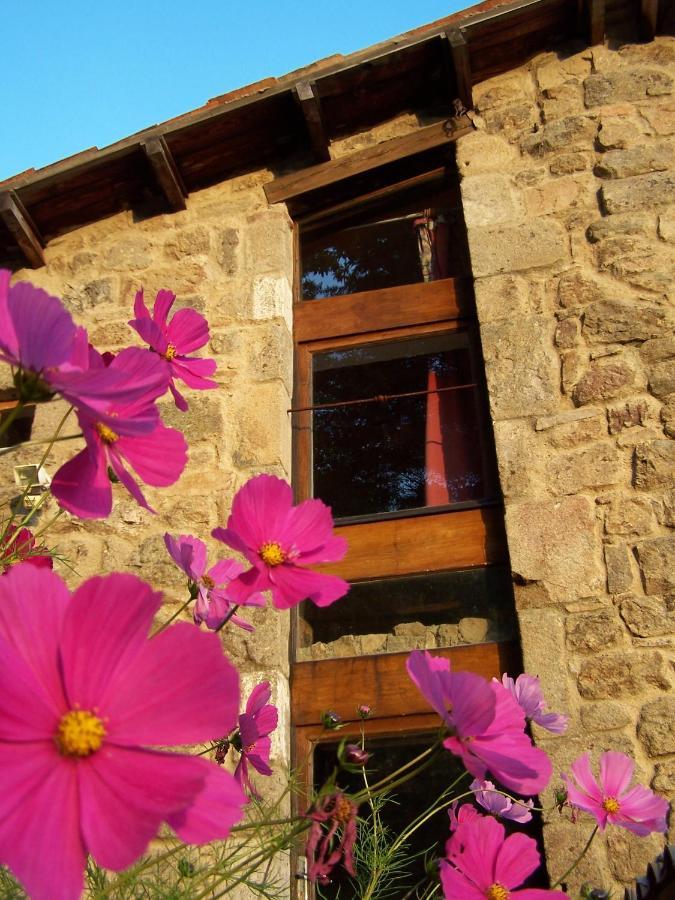 Gite De Chapeleche Les Chataigniers Gluiras Dış mekan fotoğraf