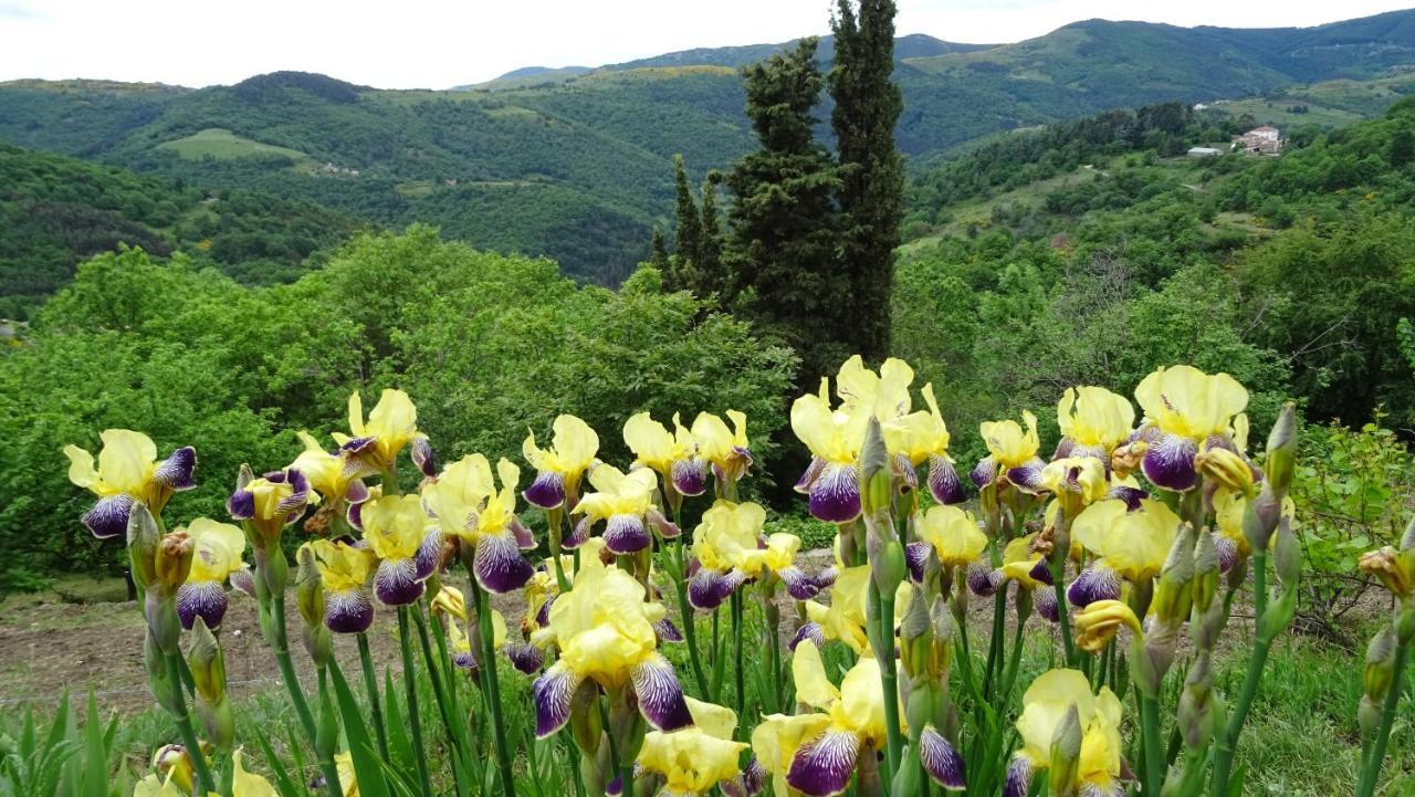 Gite De Chapeleche Les Chataigniers Gluiras Dış mekan fotoğraf